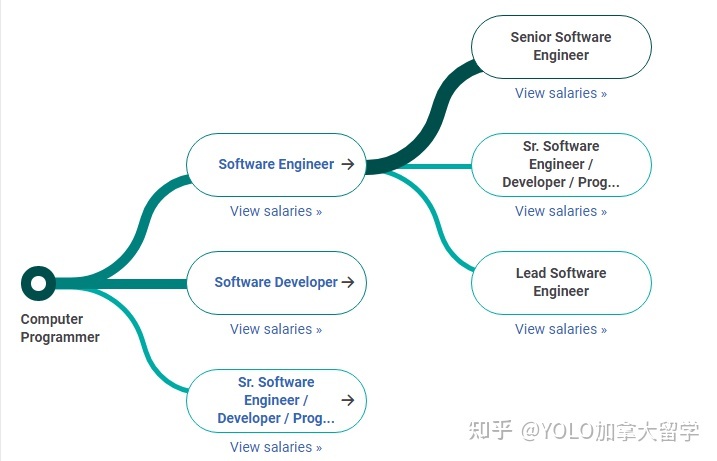 加拿大College计算机系统分析专业选择指南 路径、课程与职业前景